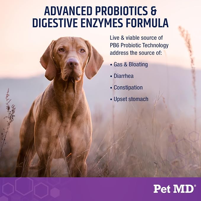 Pet MD Probiotics & Enzymes for Dogs - Gut Health Chews w/Prebiotic - 60ct