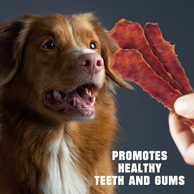 Duck Jerky Dog Treats - Human Grade, 1.5lb