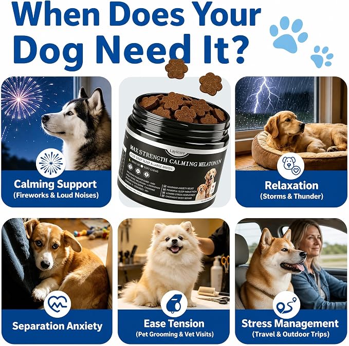 Dog Melatonin Soft Chews, Bacon, 90-Pack, 90 Count