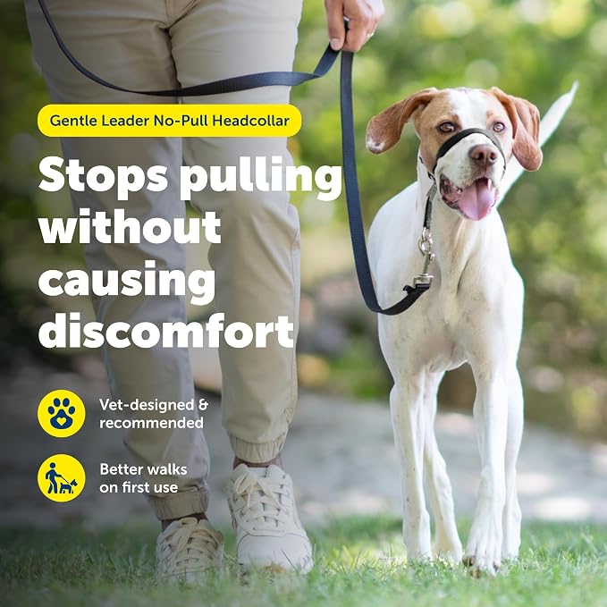 PetSafe Gentle Leader No Pull Dog Headcollar, Black, Medium | Veterinary Behaviorist-Designed No-Pull Headcollar Redirects Pulling Instinct, Padded Neoprene Nose Loop, Quick-Snap Fit