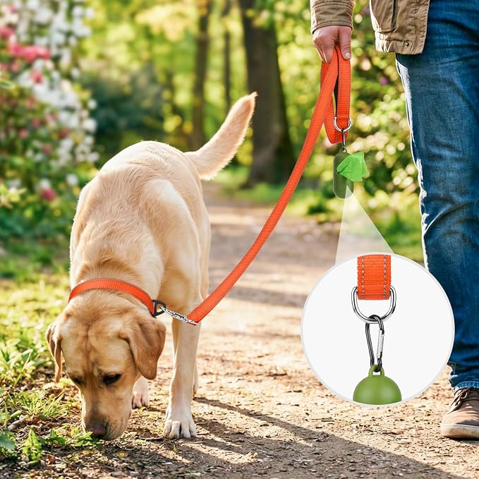 Joytale Reflective Dog Leash for Medium & Large Dogs, 4 FT x 1", Orange | Heavy Duty Nylon Webbing, Padded Handle for Comfort, Visible at Night, for Walking & Training