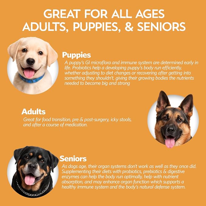 Pumpkin for Dogs with Probiotics, 7-Day Serving