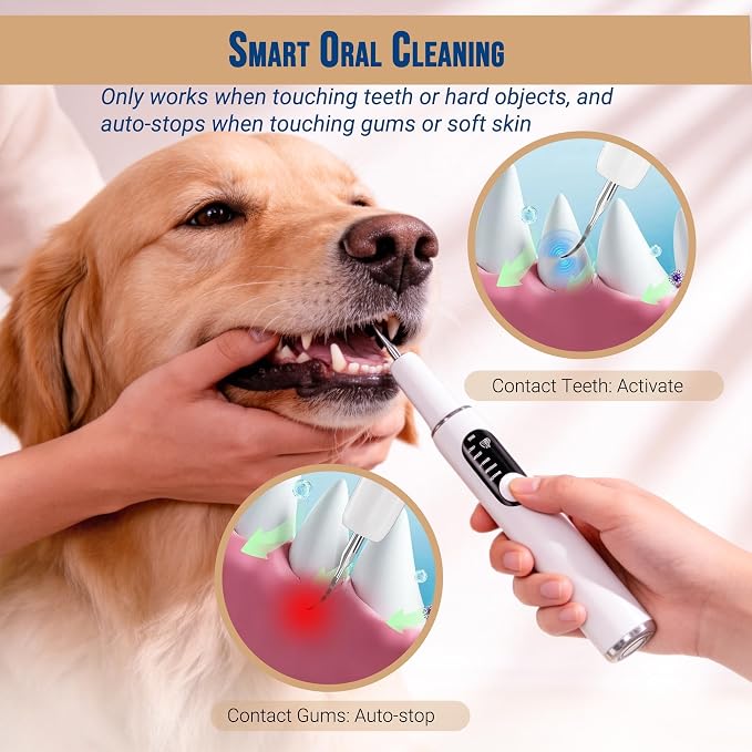 RINLAIN Dog Plaque Remover Tool, Pet Teeth Cleaner with LED Light & 5 Modes, Ultrasonic Dog Dental Cleaning Kit, IPX6 Waterproof, Pet Teeth Cleaning Tools for Tartar & Stains