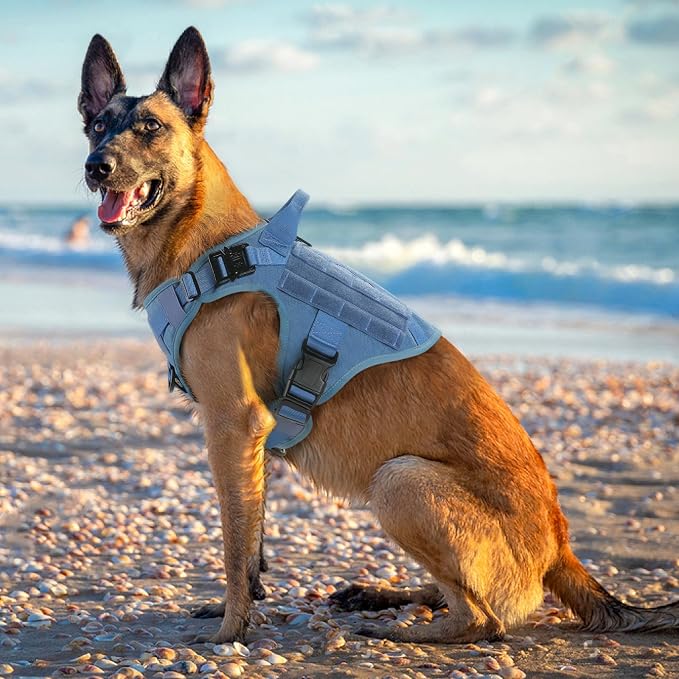 rabbitgoo Tactical Dog Harness for Large, Heavy Duty Military No Pull Vest | Sturdy Metal Buckles, 5 Adjustments, Molle System, Powerful Pullers for Training, Hunting, Outdoor, Blue, Large