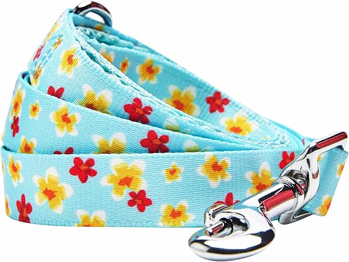 Blueberry Pet Fragrant Plumeria Dog Leash, Aqua, 5 ft x 5/8", Small, Leashes for Dogs