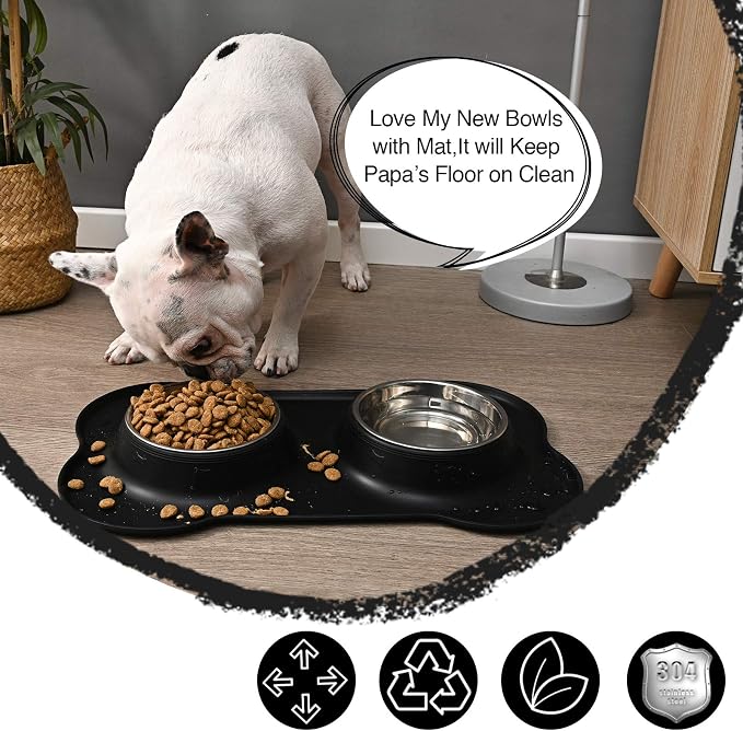 Dog Bowls 2 Stainless Steel Bowl for Pet Water and Food Feeder with Non Spill Skid Resistant Silicone Mat for Pets Puppy Small Medium Cats Dogs