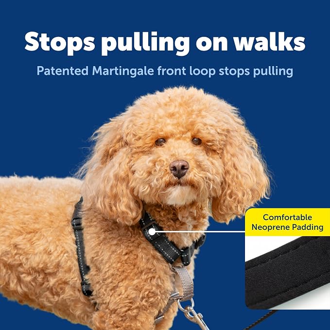 PetSafe 3 in 1 No-Pull Dog Harness - Walk, Train or Travel - Helps Prevent Pets from Pulling on Walks - Seatbelt Loop Doubles as Quick Access Handle - Reflective Accents - Small, Black | Rests on Chest Not Throat to Reduce Pulling, 5 Adjustment Points,...