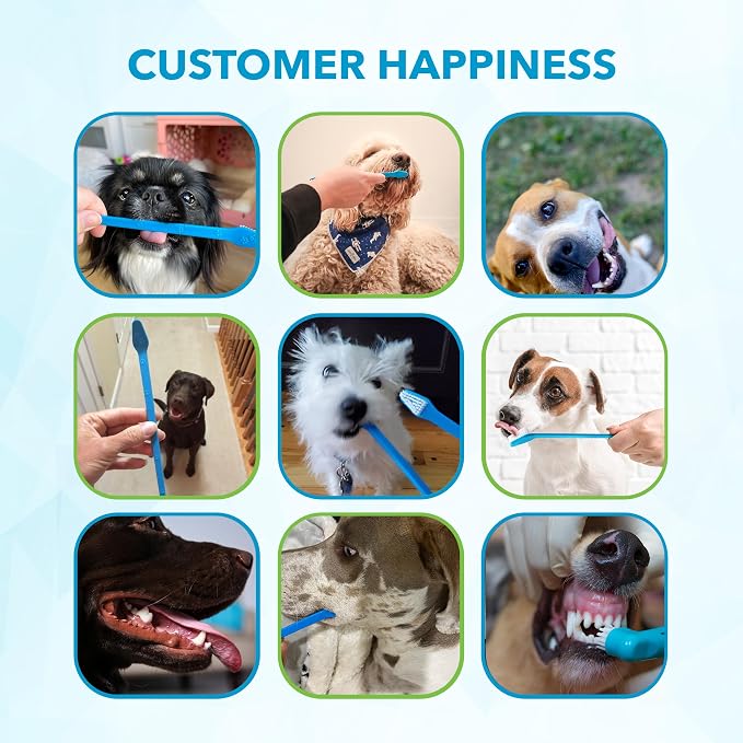 Boshel Pet Toothbrush, 2 Dog Tooth Brush with Dogs Finger Toothbrush for Small and Large Breeds, 3 Pack