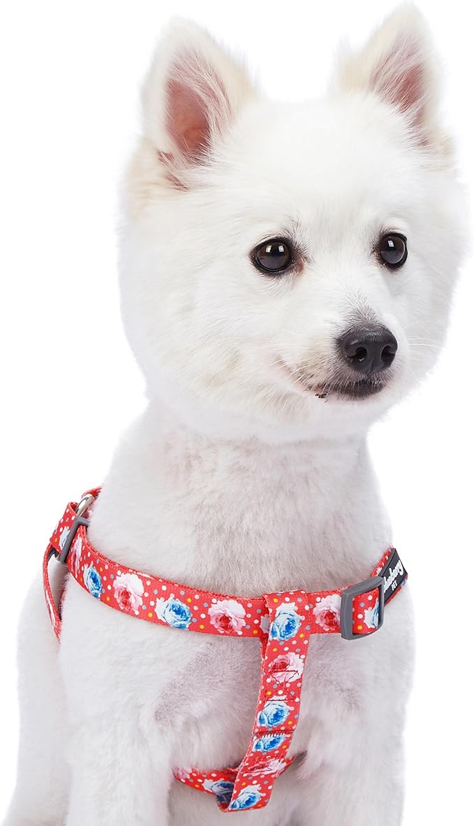 Blueberry Pet 9 Patterns Step-in Spring Scent Inspired Rose and Polka Dot Print Brink Pink Dog Harness, Chest Girth 16.5" - 21.5", Small, Adjustable Harnesses for Dogs