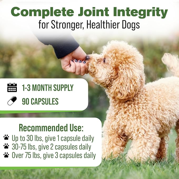 Silver Lining Herbs Dog Joint Supplement, Mobility & Comfort - 90 Ct