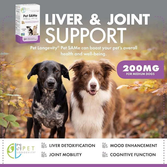 Same 200 mg Pet Supplements – Liver and Joint Support for Medium Size Dogs with Elevated Enzymes – S Adenosyl Methionine - 50 Gluten Free Enteric Coated Tablets – Non GMO Certified