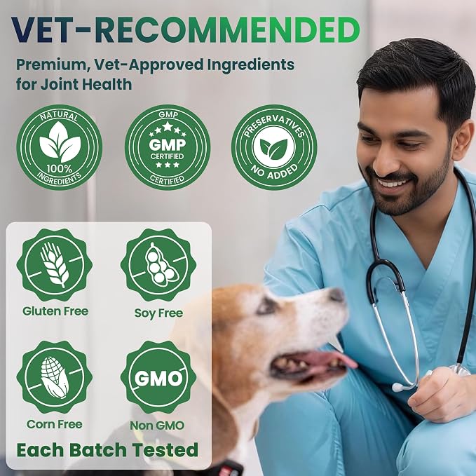 Probiotics for Dogs, Dog Probiotics Chews for Digestive Health &Gut Health