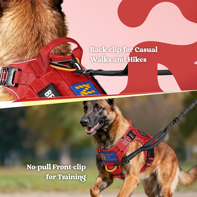 rabbitgoo Tactical Dog Harness for Small, Heavy Duty Military No Pull Vest | Sturdy Metal Buckles, 5 Adjustments, Molle System, Powerful Pullers for Training, Hunting, Outdoor, Red Reflex, Small