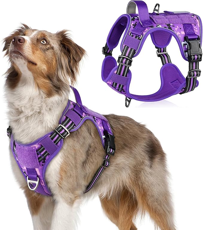 rabbitgoo Tactical Dog Harness for Medium, No Pull Military Service Vest | Molle & Handle, Heavy Duty, Adjustable, Reflective Straps, Easy Control for Training Walking, Purple Camo, Medium