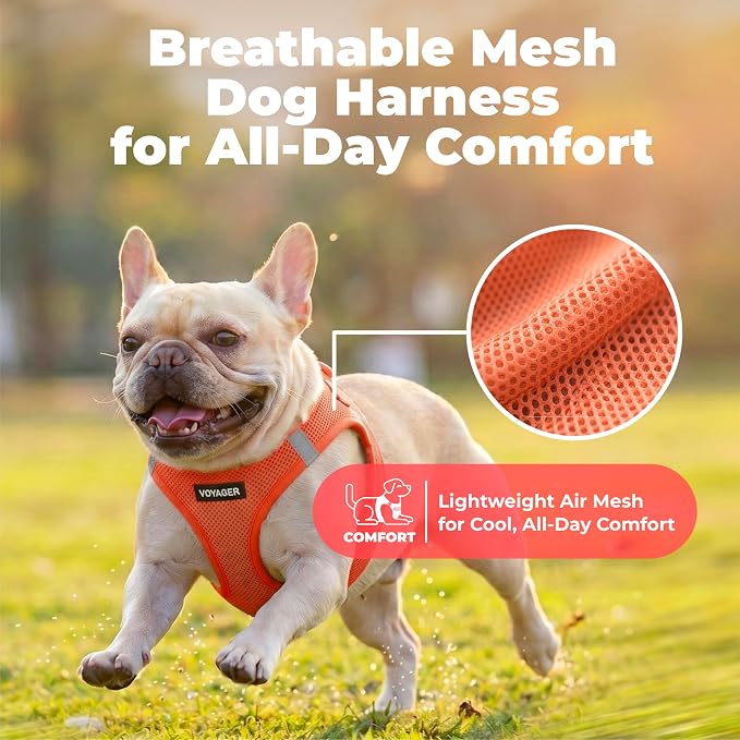 Voyager Step-in Air Dog Vest Harness - Orange, X-Large | 20.5 - 23" in Chest, Reflective Bands, All Weather Breathable Air Mesh, Cats Compatible, Lightweight, Fast Drying