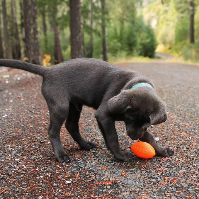Ruff Dawg Indestructible Football Medium 4” 1pc Color Varies – Heavy-Duty Solid Rubber Dog Fetch Toy for Dogs Up to 40 lbs – Floats & Crazy Bounce – Made in USA