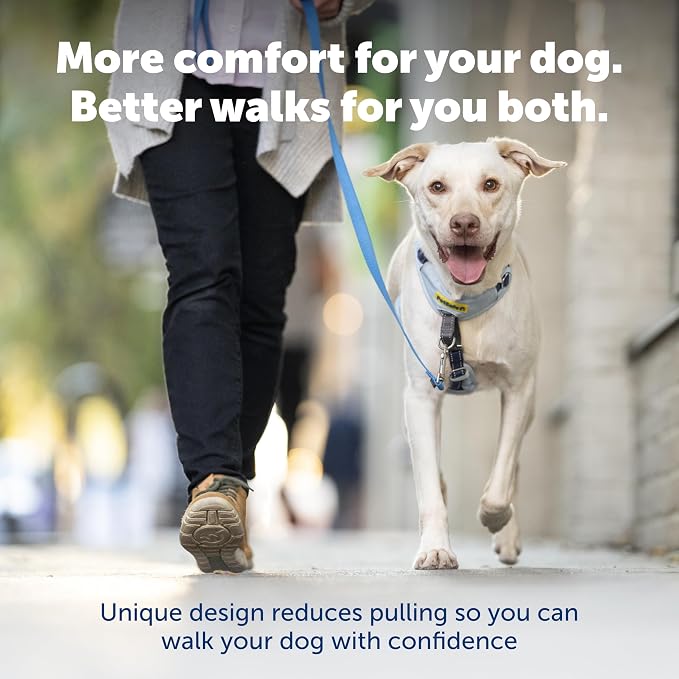 PetSafe Easy Walk Comfort No Pull Dog Harness, Blue, Large | Stops Pulling on First Use with Front Martingale Loop, Full-Body Padding, 5-Point Adjustable Fit