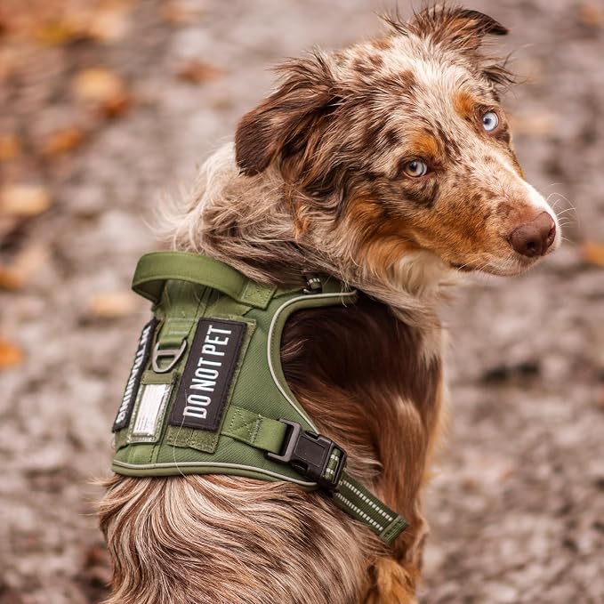 rabbitgoo Tactical Dog Harness for Large Dogs, No Pull Service Pet Vest | Military Molle System & Easy Control Handle, Adjustable and Reflective for Walking and Training, Grey, X-Large