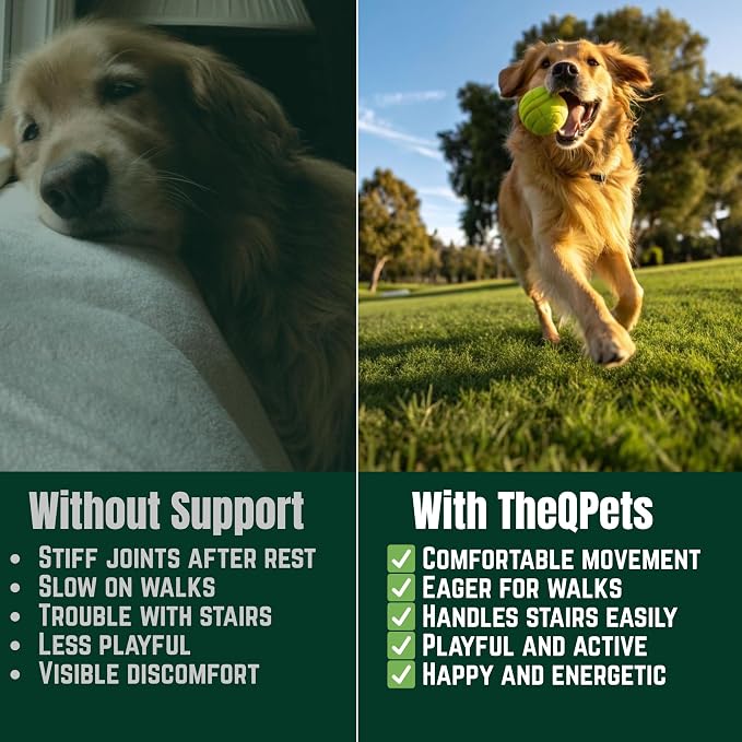 Dog Joint Supplement Chews - Glucosamine 600mg MSM 300mg Chondroitin Turmeric Green Lipped Mussel Collagen - Hip and Joint Chews for Senior & Active Dogs All Breeds - 90 Soft Chews Chicken