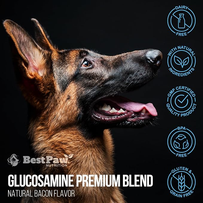 Liquid Glucosamine for Dogs | Glucosamine Chondroitin MSM with Hyaluronic Acid | Hip and Joint Supplement | Bacon Flavor | Easy Pump Food Topper | 32oz