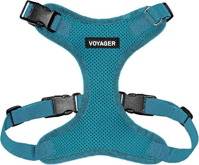 Voyager Step-in Lock Dog Harness - Turquoise, Small | 15 - 18" in Chest, Adjustable, Breathable Air Mesh, Lightweight for Daily Walks, Strong Clips, Heavy Duty D-Ring