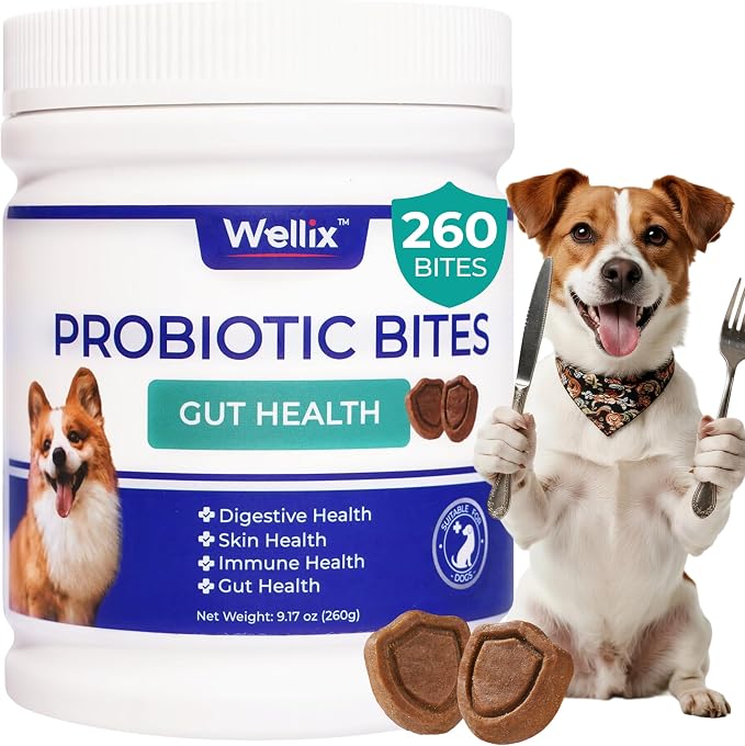 Wellix 260 Bites Probiotics for Dogs - Probiotics & Prebiotics with Pumpkin