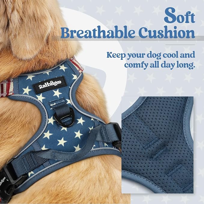 rabbitgoo Dog Harness, No Pull for Small Dogs with 2 Leash Clips, Pet Vest | No Choke with Handle, Adjustable Soft Padded, Reflective, Easy Control for Walking, Blue Star, Small