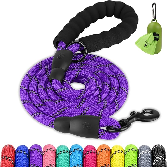Joytale Rope Dog Leash for Medium Large Dogs, Padded Handle, 5FT, Purple | Reinforced Nylon Webbing, Comfort Grip Eases Hand Strain, Swivel Clip Prevents Tangles, Visible at Night, for Outdoor Walks