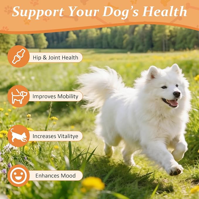 Joint Supplement for Dogs, Supports Dog Joint Pain Relief and Mobility