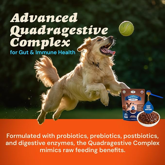 CLEAR CONSCIENCE PET® Paw Jus SuperGravy® Dog Food Topper Hydration Broth Mix Greek Yogurt Cheese Blend Kibble Seasoning Probiotics Prebiotics Enzymes Taurine 9 oz. 60 Scoop, All Life Stage