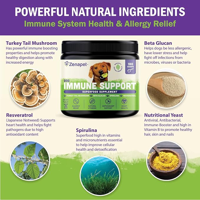 Dog Immune Support Premium Powder Topper, Turkey Tail, Spirulina & Beta-Glucan, Supports a Healthy Immune System & Digestion, Human-Grade, Made in USA