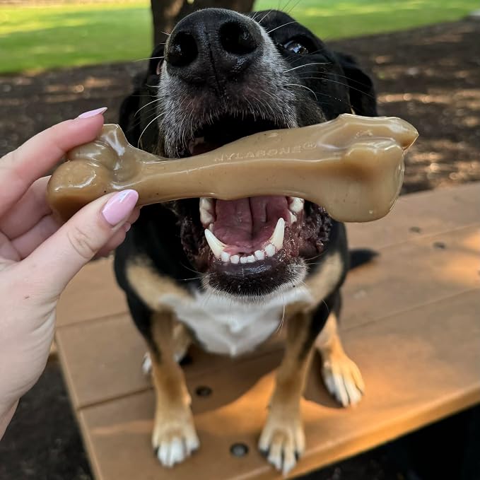 Nylabone Strong Chew Gourmet Style Dog Chew Toy, Baby Back Ribs Flavor | Large breeds, durable chew toys, long lasting, helps clean teeth, for strong chewers, dogs up to 50 lbs
