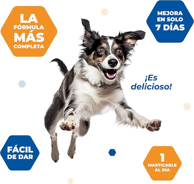 Virbac | Movoflex | New Supplement for Canine Joint Mobility | Ideal for Adult and Senior Dogs | Easy to Give for its Delicious Taste and Smooth Texture (Large Breed)