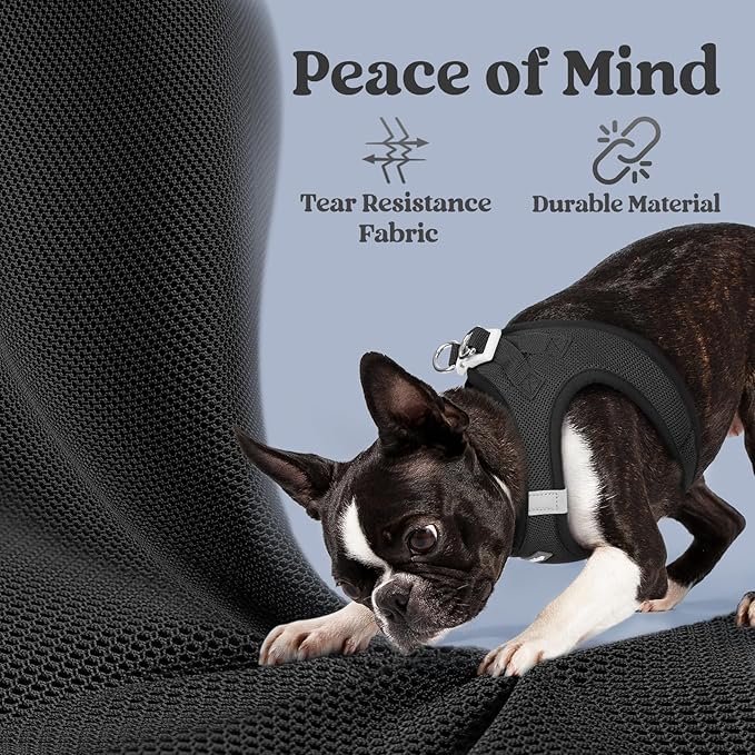 rabbitgoo Step-in Small Dog Harness, Puppy Vest for Small Medium Sized Pet | Easy Put on and off, Lightweight, Soft, Breathable Quick-Dry Air Mesh for Comfortable Secure Walking, Black XL
