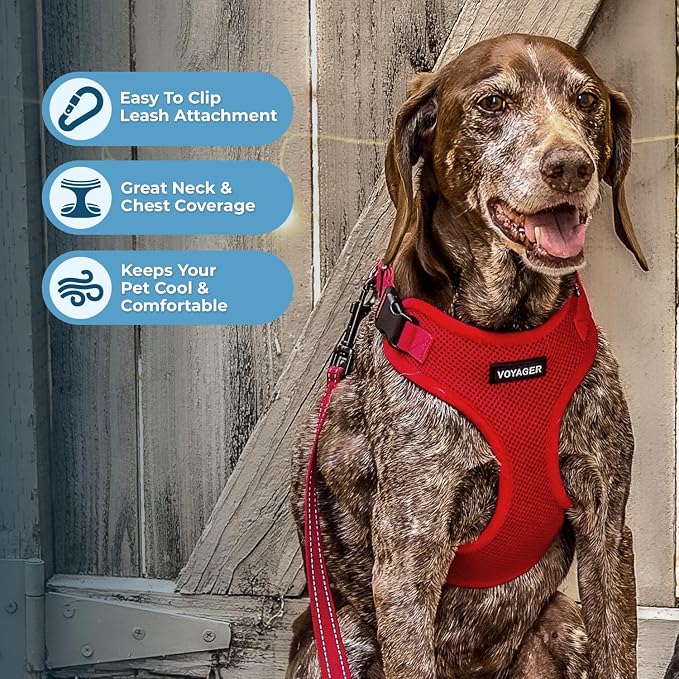 Best Pet Supplies Voyager Step-in Lock Pet Harness w Reflective Pet Leash Combo Set with Neoprene Handle 5ft - Supports Small, Medium and Large Breed Puppies/Cats - Red Set, M