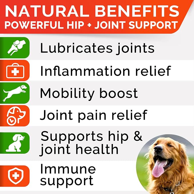 Glucosamine for Dogs w/Chondroitin - Hip & Joint Supplement for Dogs w/Omega-3 Fish Oil - Chondroitin MSM - Advanced Mobility Chews - Joint Pain Relief - Hip & Joint Care - Made in USA (120 Ct)