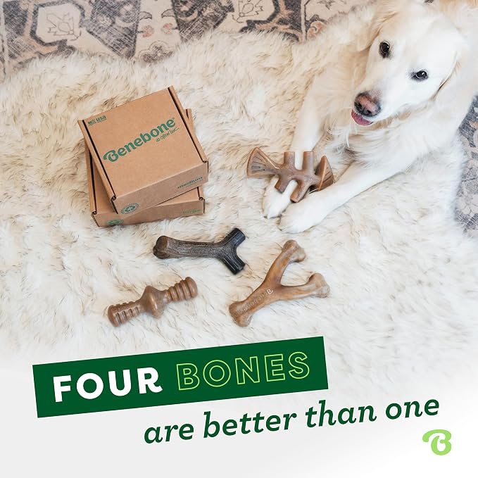 Benebone Medium Dog Toys for Aggressive Chewers – Under 60 lbs, 4 Count, Medium (Pack of 8)
