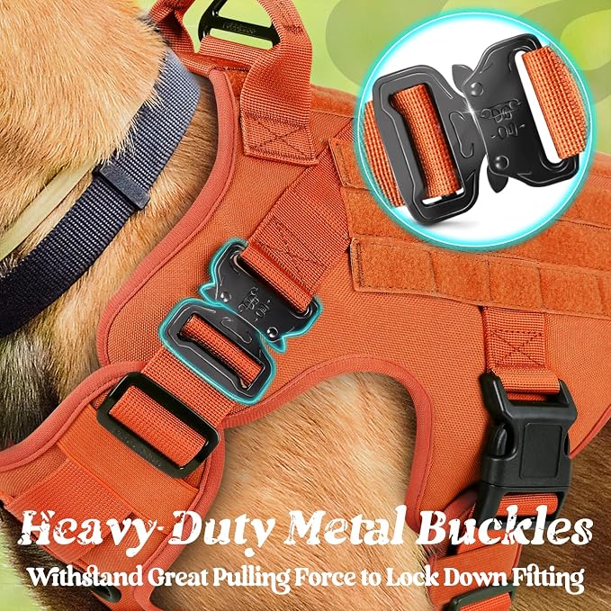 rabbitgoo Tactical Dog Harness for Medium, Heavy Duty Military No Pull Vest | Sturdy Metal Buckles, 5 Adjustments, Molle System, Powerful Pullers for Training, Hunting, Outdoor, Orange, Medium