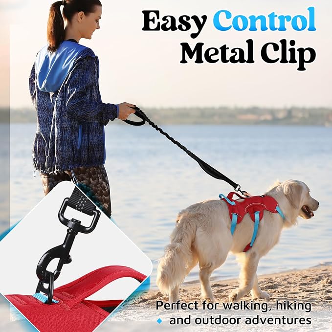 rabbitgoo Escape Proof Dog Harness for Medium, No Pull with Lift Handle | No Escape, Full Soft Padded, Reflective Adjustable Vest, Leash Clip for Walking Hiking Training, Sky Blue & Red, Medium