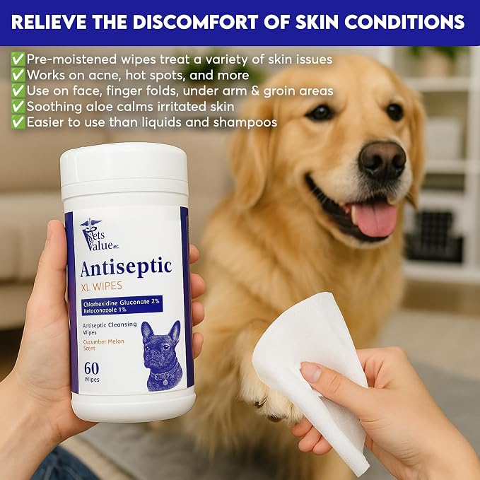 Pet Wipes for Dogs & Cats - Gentle Daily Cleaning for Paws, Face & Coat – All Breeds (60 Count)