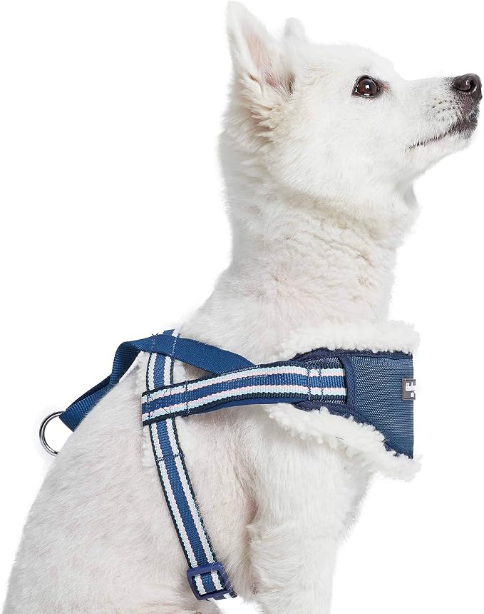 Blueberry Pet Soft & Comfy Multi-Colored Stripe Fleece Padded Chest Dog Harness, Chest Girth 20.5" - 26", Blue, Medium, Adjustable No Pull Training Harness for Dogs