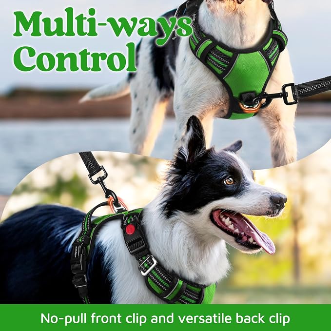 rabbitgoo Dog Harness Medium Sized, No Pull 3 Buckles Easy On & Off | Soft Padded, Walking with Control Handle, Adjustable and Reflective, Green, Medium