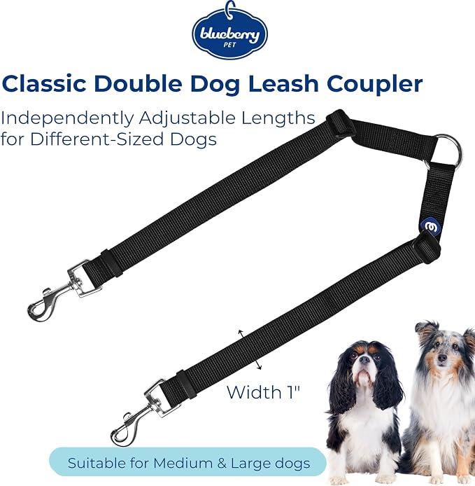 Blueberry Pet Essentials Durable Classic Double Dog Leash Coupler, Black, Medium/Large, Dual Walking & Training Leashes for Two Dogs