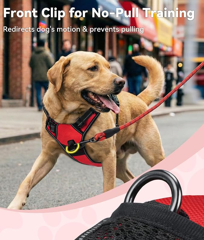 Joytale No Pull Dog Harness for Small Dogs, Front Clip, Red | Grab Handle for Instant Control, Padded & Adjustable Vest, Sturdy Metal D-Rings, for Safe Training & Daily Walking