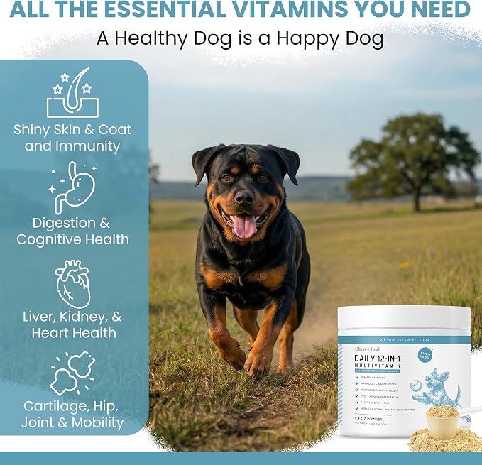 Dog Multivitamin Powder – 12-in-1 Formula with Probiotics, 14 oz | Puppy and Senior Dog Vitamins and Supplements, Glucosamine, Omega 3,6,9, Vitamins, Probiotics, and More