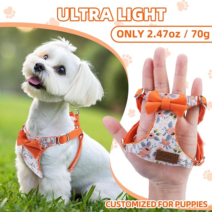 PUPTECK Dog Harness and Leash Set Small Sized, Lightweight Step-in Puppy Harness, Escape Proof No Pull Cute Pet Vest Harnesses, Flower Orange M