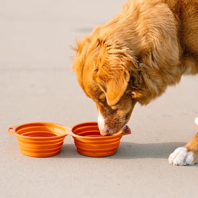 Pup Culture Dual Collapsible Dog Bowls | Silicone Travel Water Bowl for Dogs | Food Grade, No Plastic Rim, Portable Dog Bowl for Food and Water - Easy to Clean | BPA Free and Safe for Your Pup-Orange