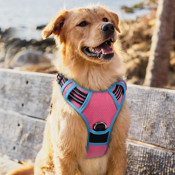 rabbitgoo Dog Harness for Large, No Pull 3 Buckles Easy On & Off | Soft Padded, Walking with Control Handle, Adjustable and Reflective, Pink & Blue, X-Large