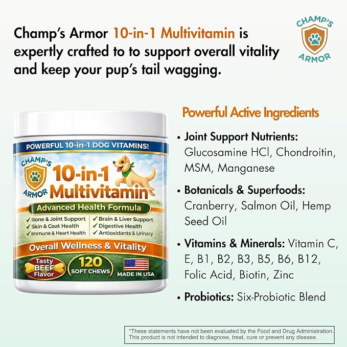 Dog Multivitamin 10-in-1 with Glucosamine - Hip Joint Support, Skin & Coat, Digestive Health, Immune Boost - Salmon Oil, Probiotics, MSM - All Natural Daily Chews for Dogs All Breeds - 120 Count