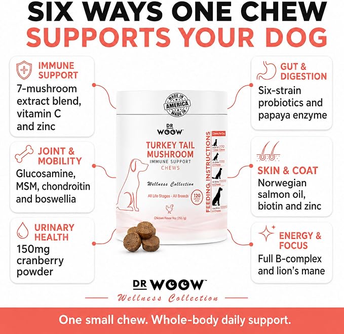 Turkey Tail Mushroom Chews for Dogs (120 Soft Chews) – Immune Support & Gut Health – 7 Mushroom Blend, Salmon Oil & Probiotics – Daily Wellness Supplement – Made in USA – Dr. Woow